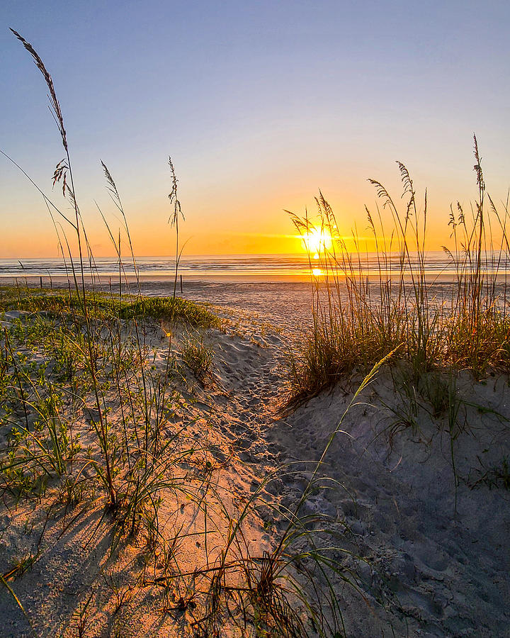 Sunrise Lines in the Sand Photograph by Danny Mongosa | Pixels