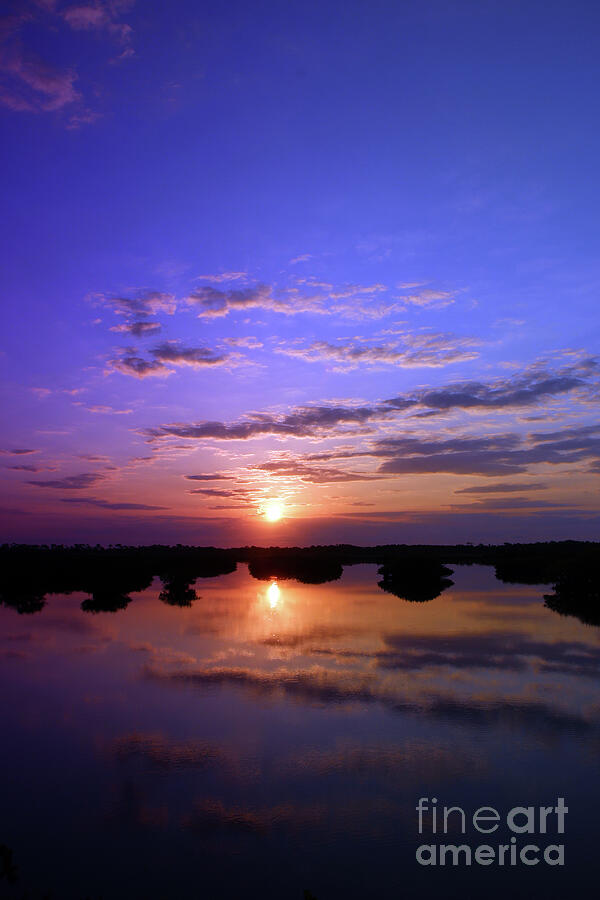 Sunrise Mangrove Reflections Photograph by Brenda Harle - Fine Art America