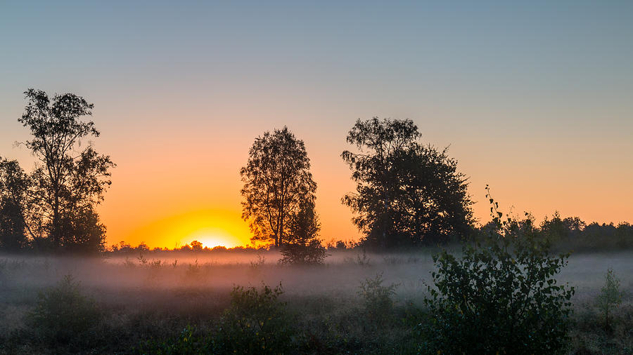 Sunrise Mist Photograph by William Mevissen