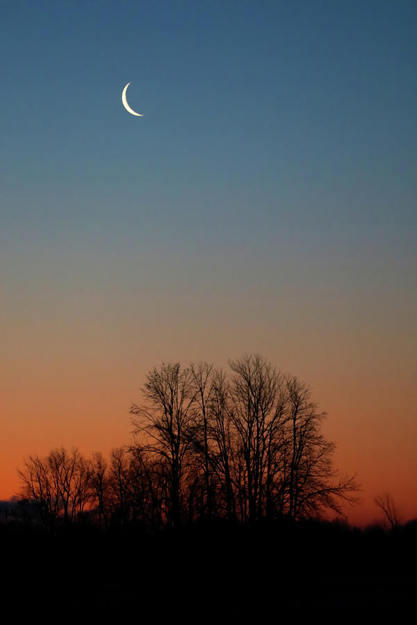 Sunrise Moon Photograph by Brook Burling