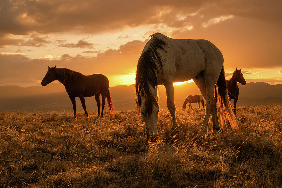 Sunrise Mountain Photograph by Kent Keller - Pixels