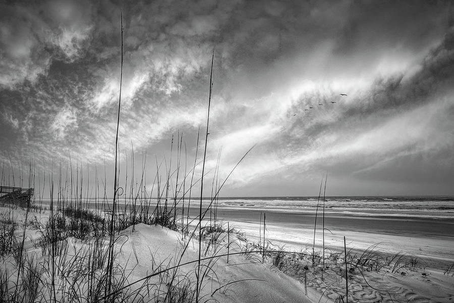 Sunrise Ocean Breezes Black and White Photograph by Debra and Dave Vanderlaan