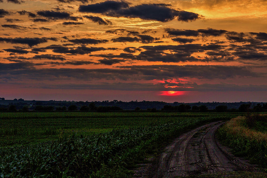 Sunrise on a Country Road Photograph by James C Richardson