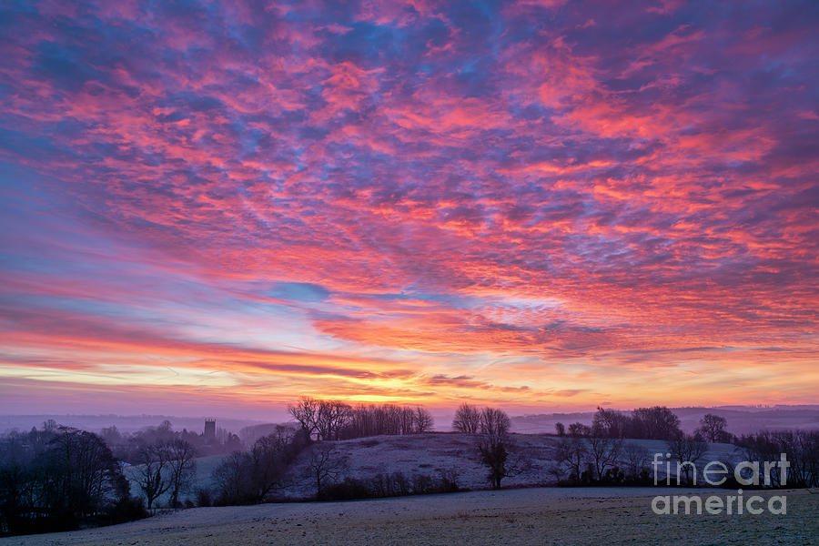 Sunrise on a Frosty Winter Morning at Christmas Photograph by Tim Gainey