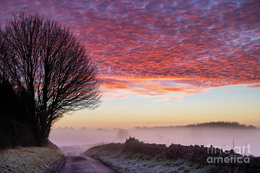 Sunrise on a Frosty Winter Morning Hampnett Cotswolds Photograph by Tim Gainey