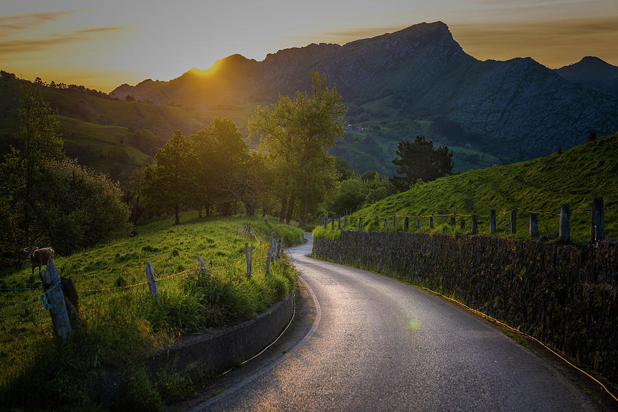 Sunrise On A Mountain Road Photograph by Chris Lord