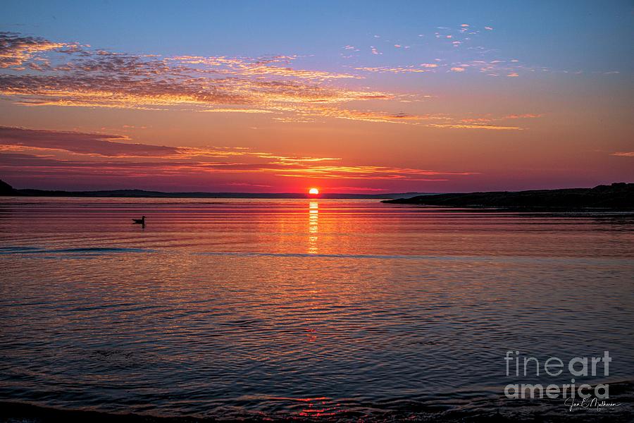 Sunrise on Cedar Beach - Baileys Island, Maine Photograph by Jan Mulherin