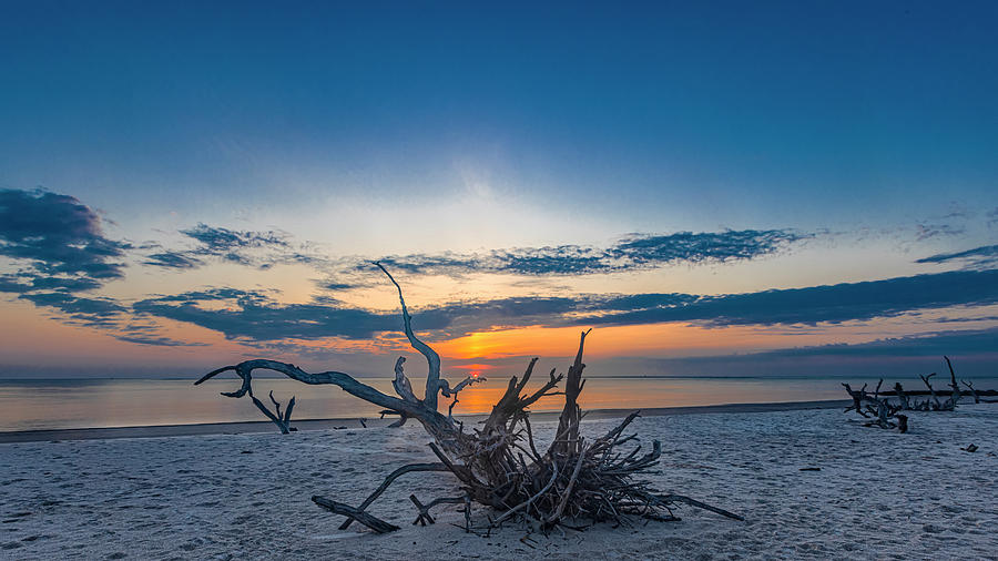 Sunrise on Driftwood Beach Photograph by Gordon Elwell