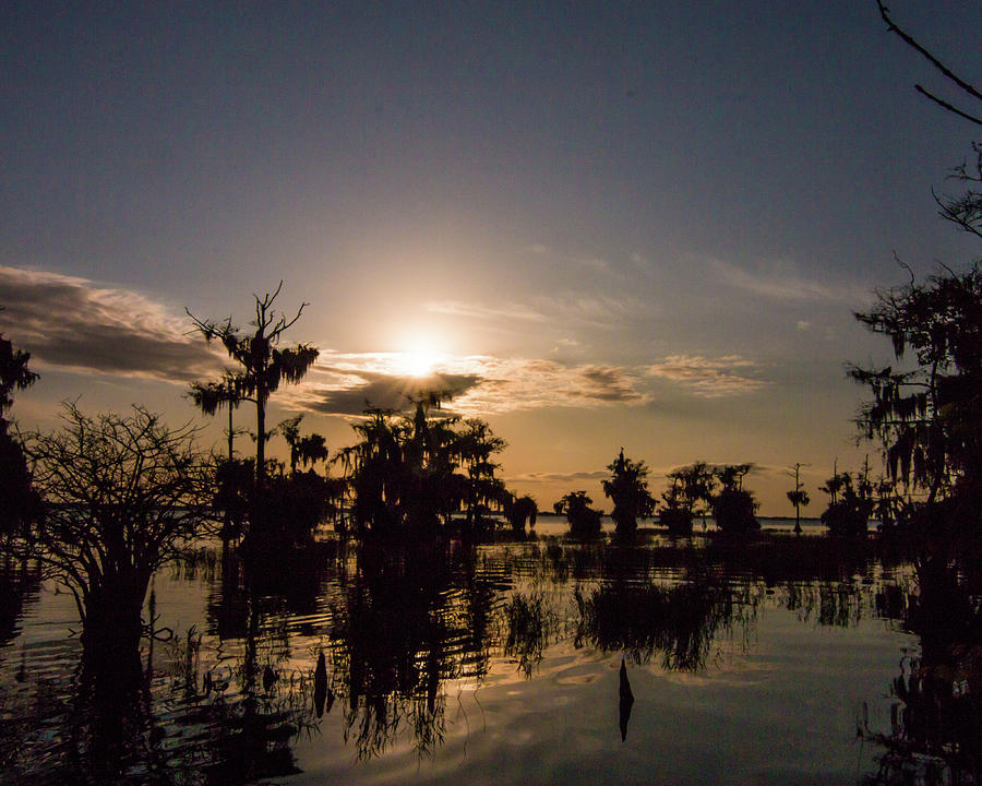Sunrise on Florida lake Photograph by Dorothy Cunningham