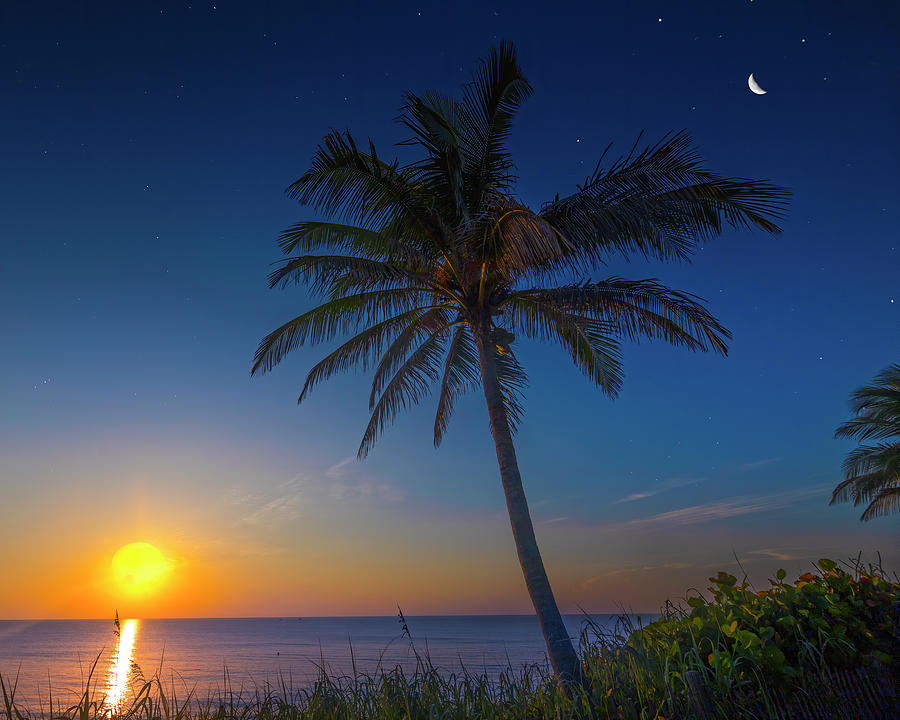 Sunrise on Fort Lauderdale Beach Photograph by Mark Andrew Thomas