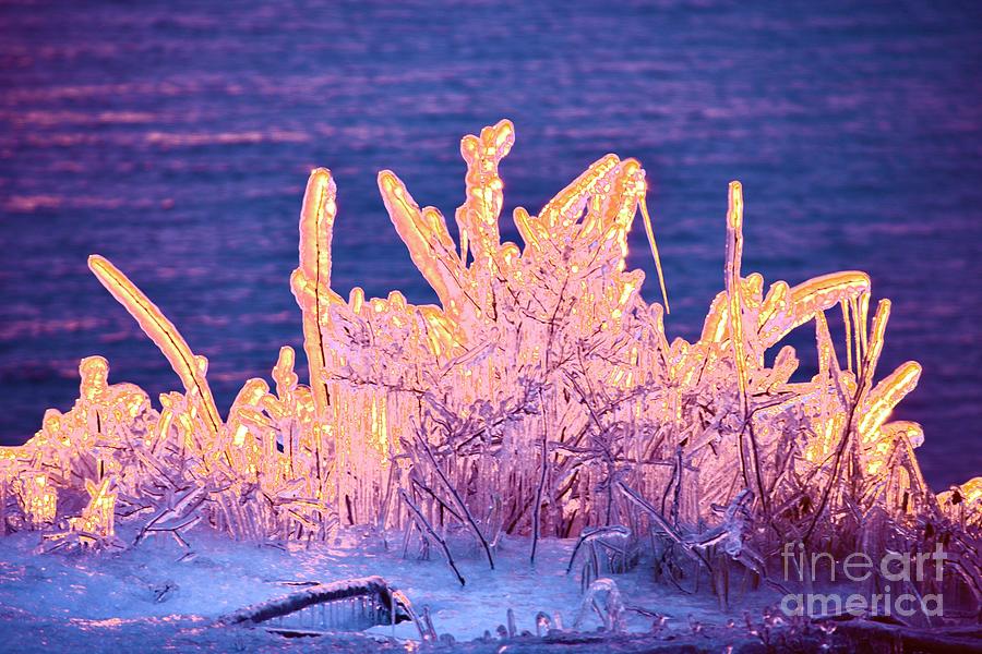 Sunrise on Ice Photograph by Hella Buchheim