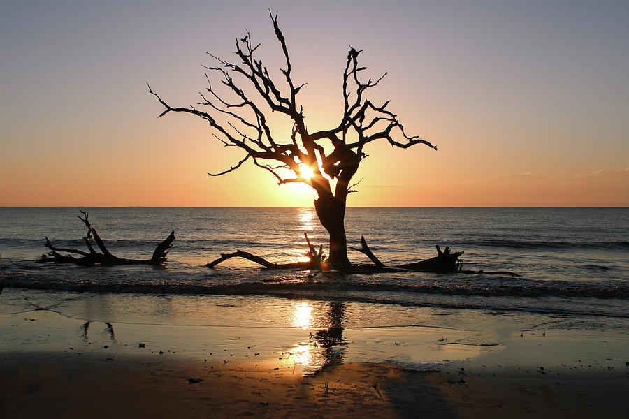 Sunrise on Jekyll Island Photograph by Whitney Fine Art America