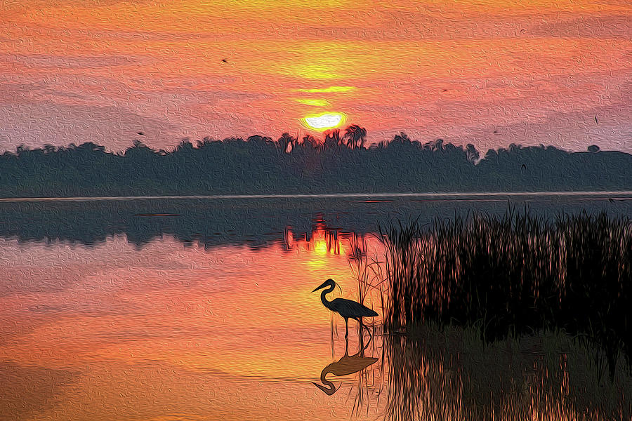 Sunrise on Lake Smart . . . Painting Photograph by Robert Carter