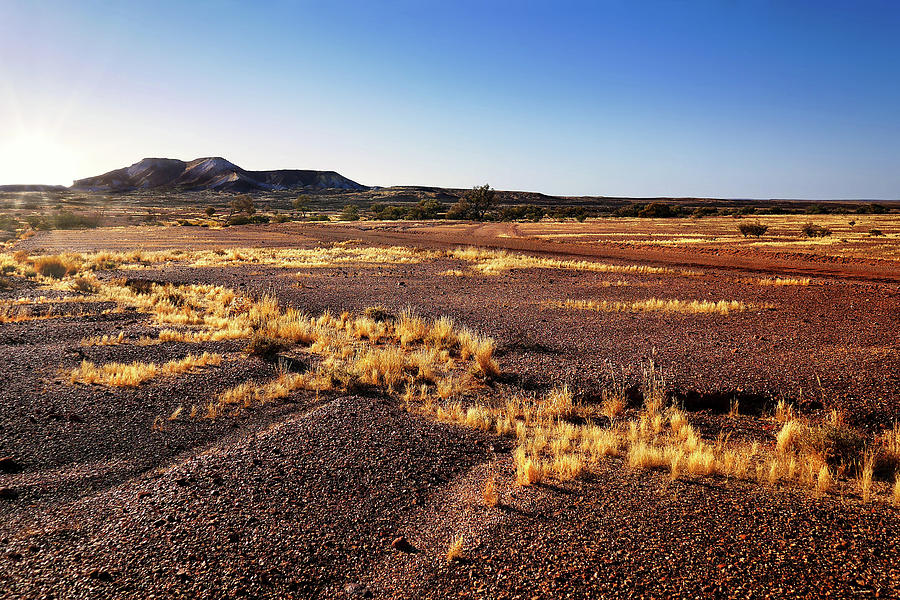Sunrise on Painted Desert - Outback  Australia Photograph by Lexa Harpell