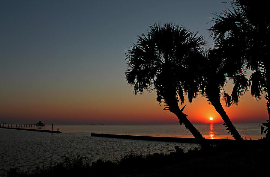 Sunrise on Pleasure Island Photograph by Judy Vincent