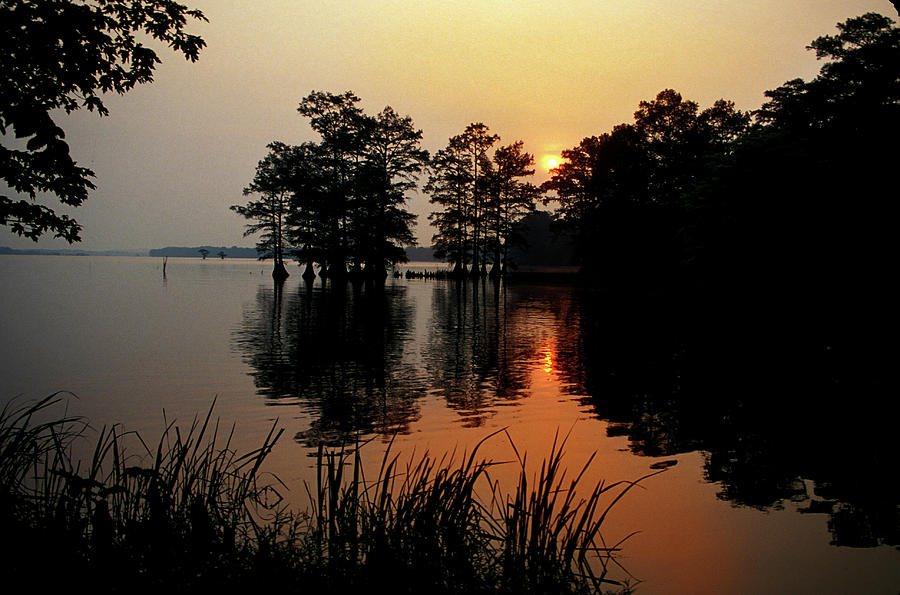Sunrise on Reelfoot Lake Photograph by James C Richardson