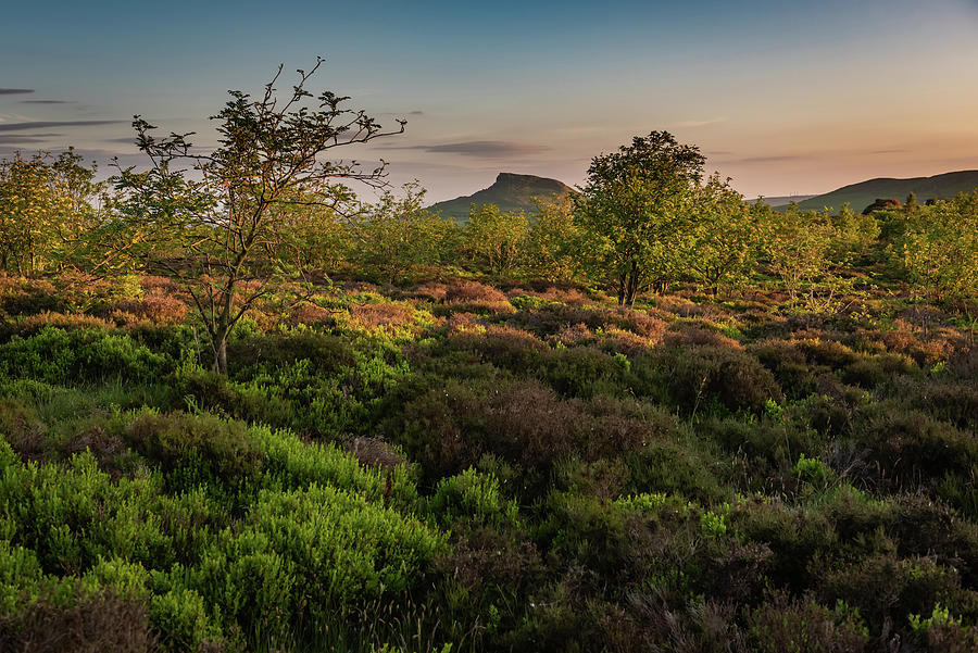 Sunrise on Roseberry Topping Photograph by Gary Eason