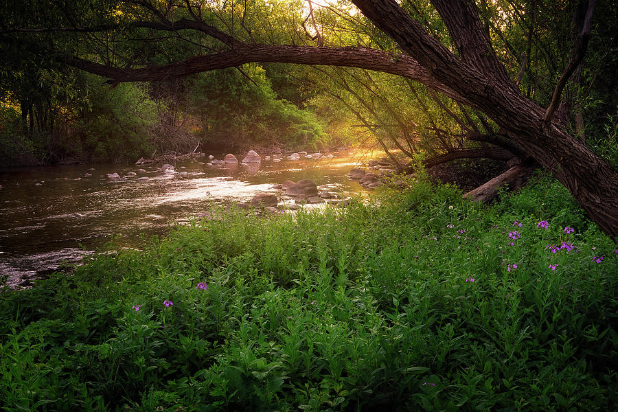 Sunrise On The Bark River Photograph