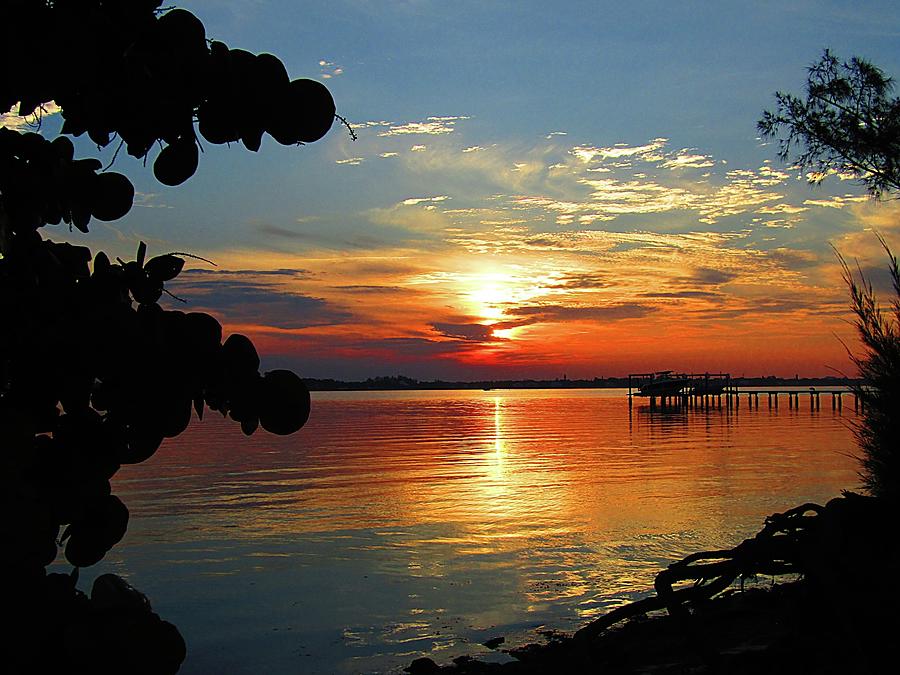 Sunrise on the Bayou Photograph by Captured by Trina M - Fine Art America