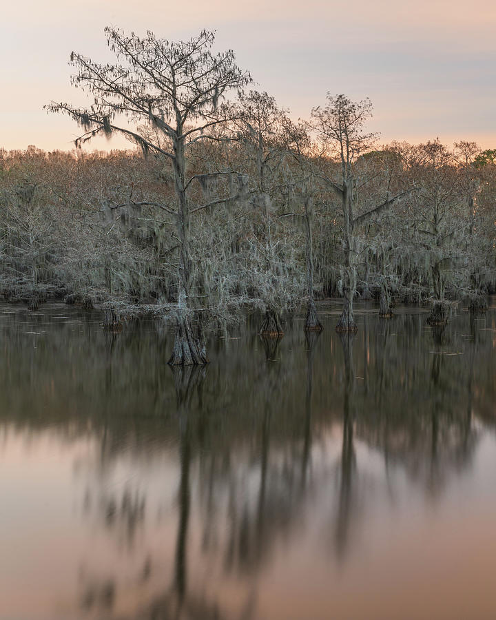 Sunrise on the Bayou Photograph by Chandler Weber - Fine Art America