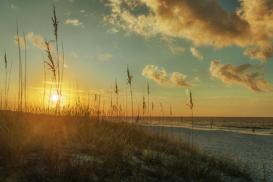 Sunrise on the Beach Photograph by Andrew Soundarajan