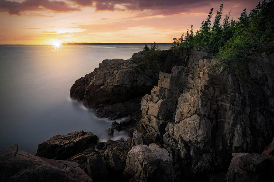 Tree Photograph - Sunrise on the Bold Coast by Rick Berk