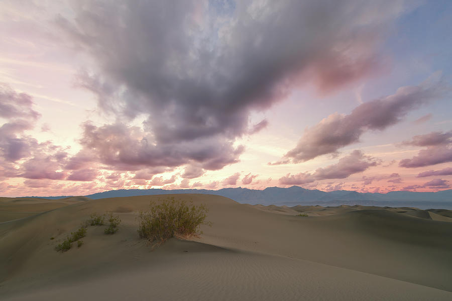 Death Valley National Park Photograph - Sunrise on the Dunes by Jon Glaser