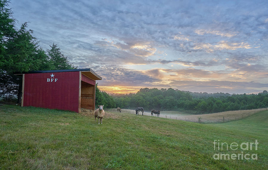 Sunrise on the Farm Photograph by Brian Kamprath