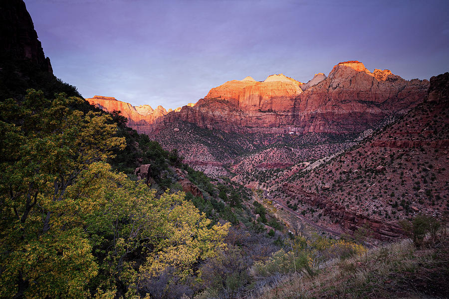 Zion National Park Photograph - Sunrise on the Great Streaked Wall and the Sentinel, Zion Nation by Peter OReilly