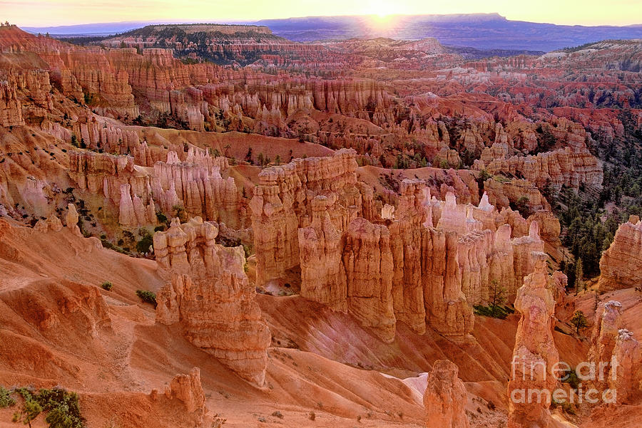 Sunrise On The Hoodoos Bryce Canyon National Park Utah Photograph by Dave Welling