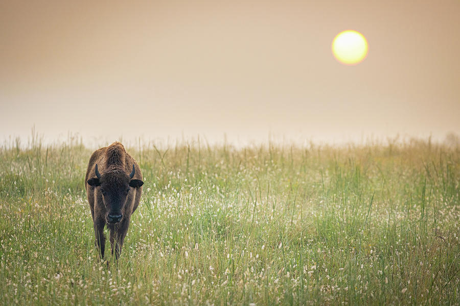 Sunrise On The Prairie Photograph by Jordan Hill