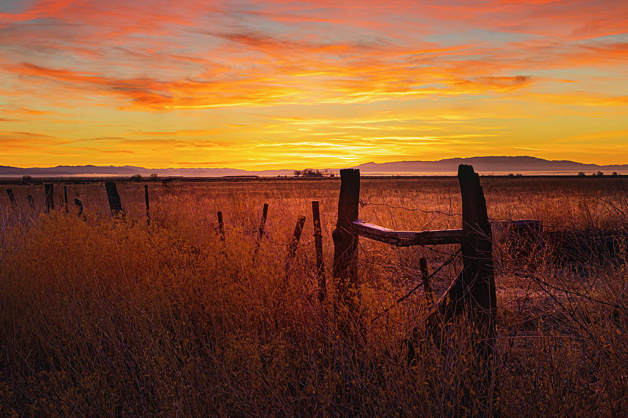 Sunrise On The Ranch Photograph