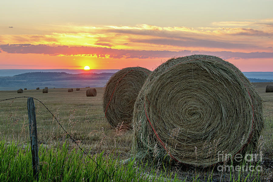 Sunrise On The Round Bales Photograph by Gary Beeler