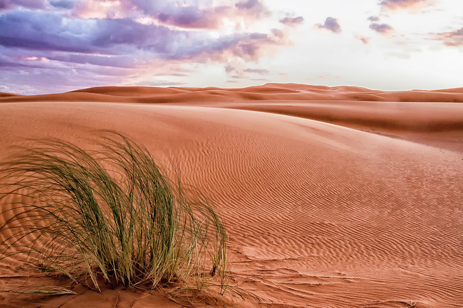 Sunrise on the Sahara Desert Photograph by Lindley Johnson
