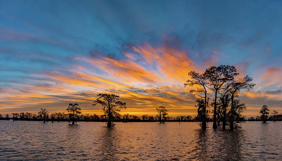 Sunrise on the Swamp Pano Photograph by Tim Stanley