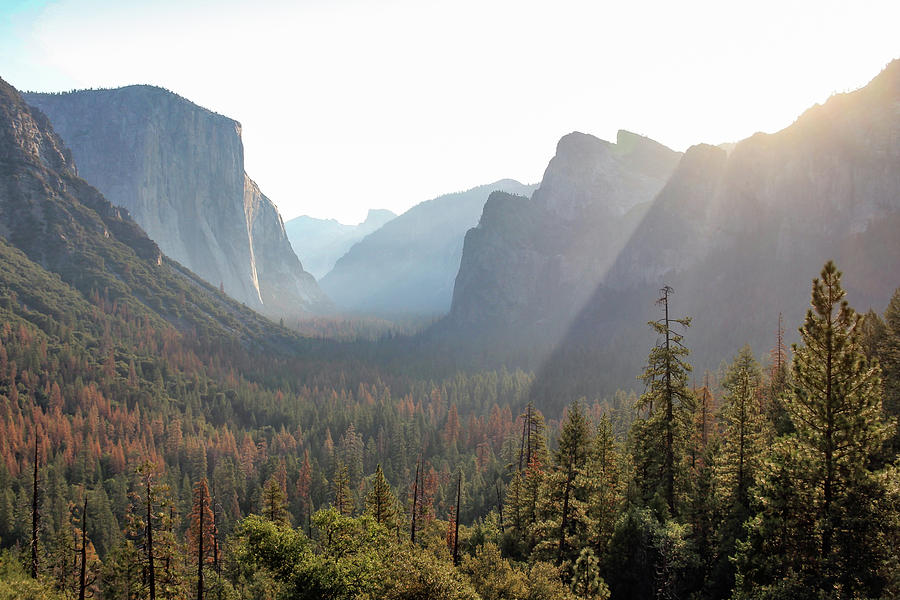 Sunrise on Yosemite Valley Photograph by Robert Carter