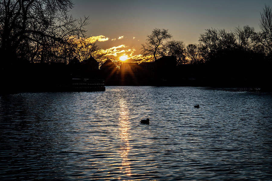 Sunrise over a Chicago Lagoon Photograph by Sven Brogren