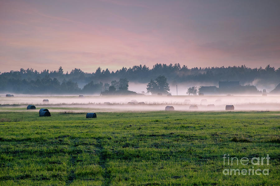 Sunrise Over A Field With Trees And Fog Floating Above The Ground Photograph