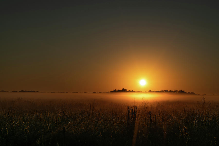 Beauty Photograph - Sunrise Over a Fog-Covered Field by Ric Schafer Beauty Photograph - Sunrise Over a Fog-Covered Field by Ric Schafer