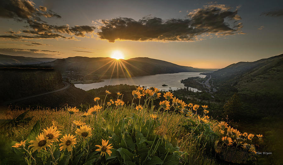 Landscape Photograph - Sunrise over Columbia River Gorge by Tim Bryan
