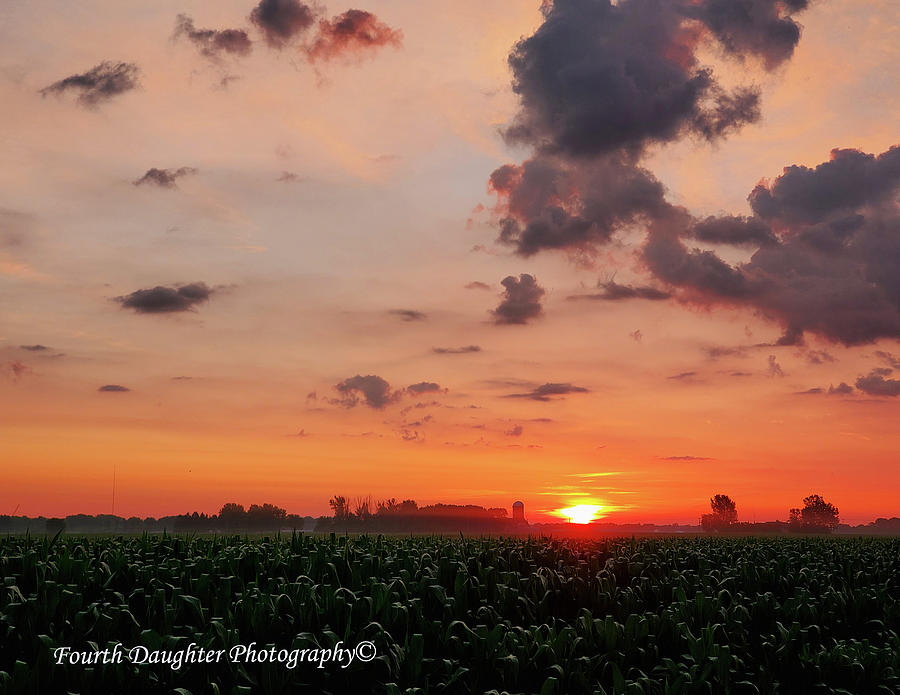 Sunrise Over Corn Field Photograph by Diane Shirley