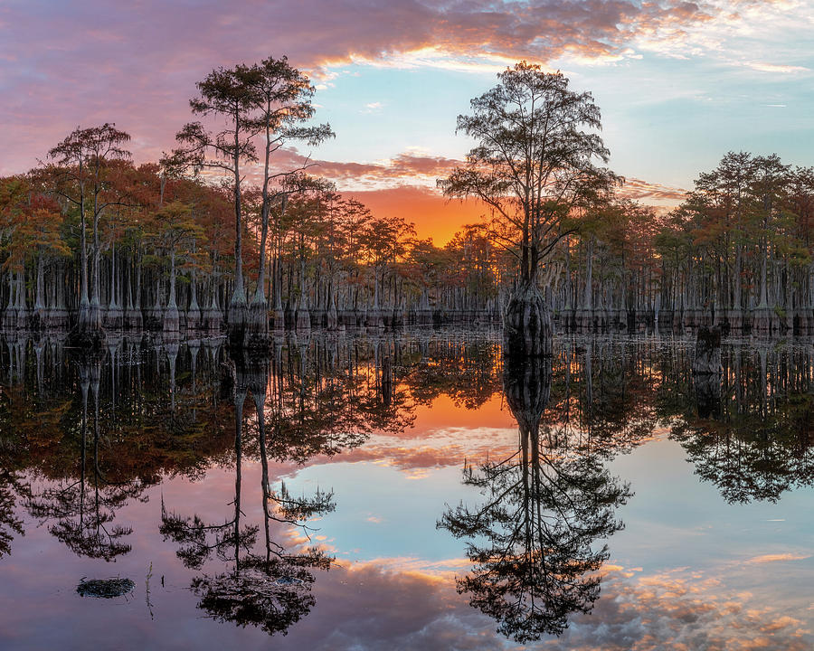 Sunrise over Cypress Swamp Photograph by Alex Mironyuk