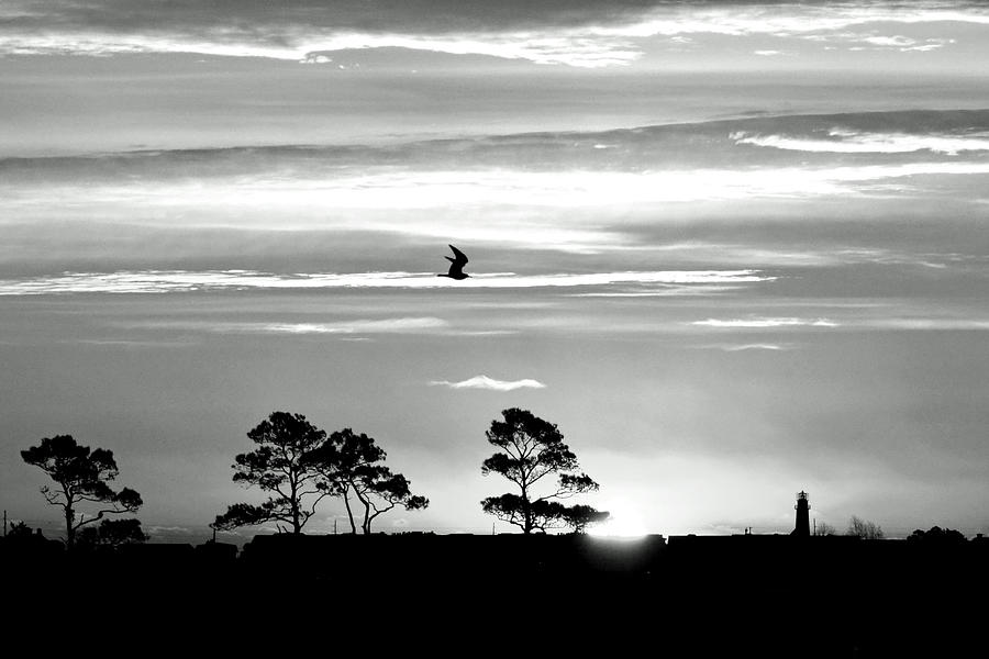 Sunrise over Fenwick Island in Black and White Photograph by Bill Swartwout