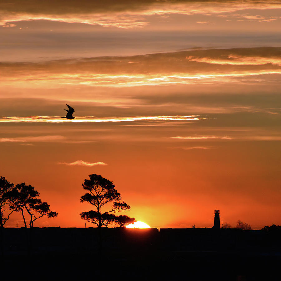 Sunrise over Fenwick Island Square Photograph by Bill Swartwout