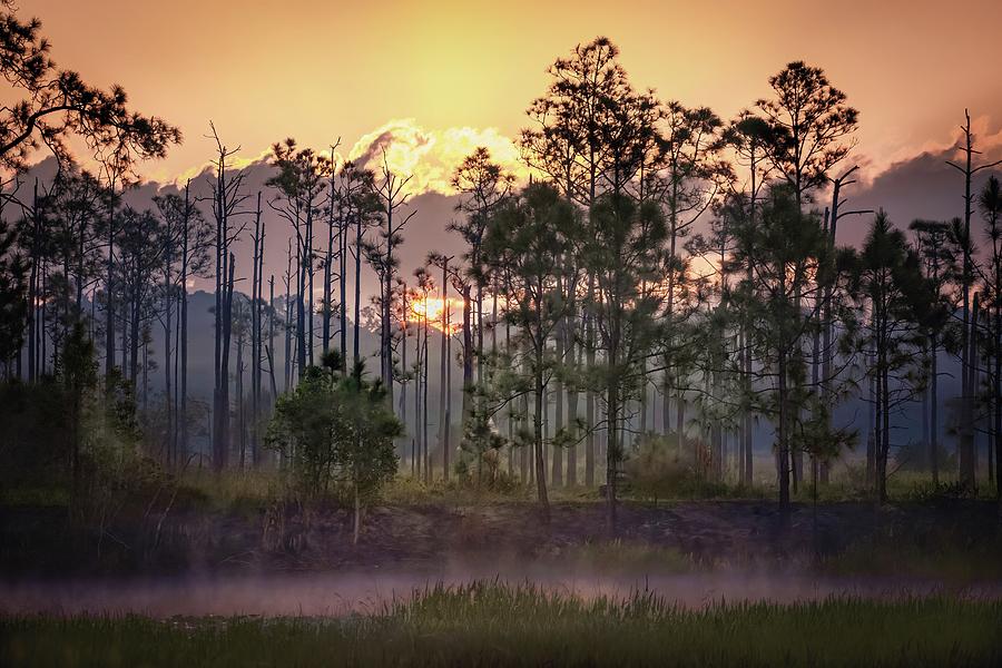 Sunrise Over Florida Everglades Photograph by Rebecca Herranen