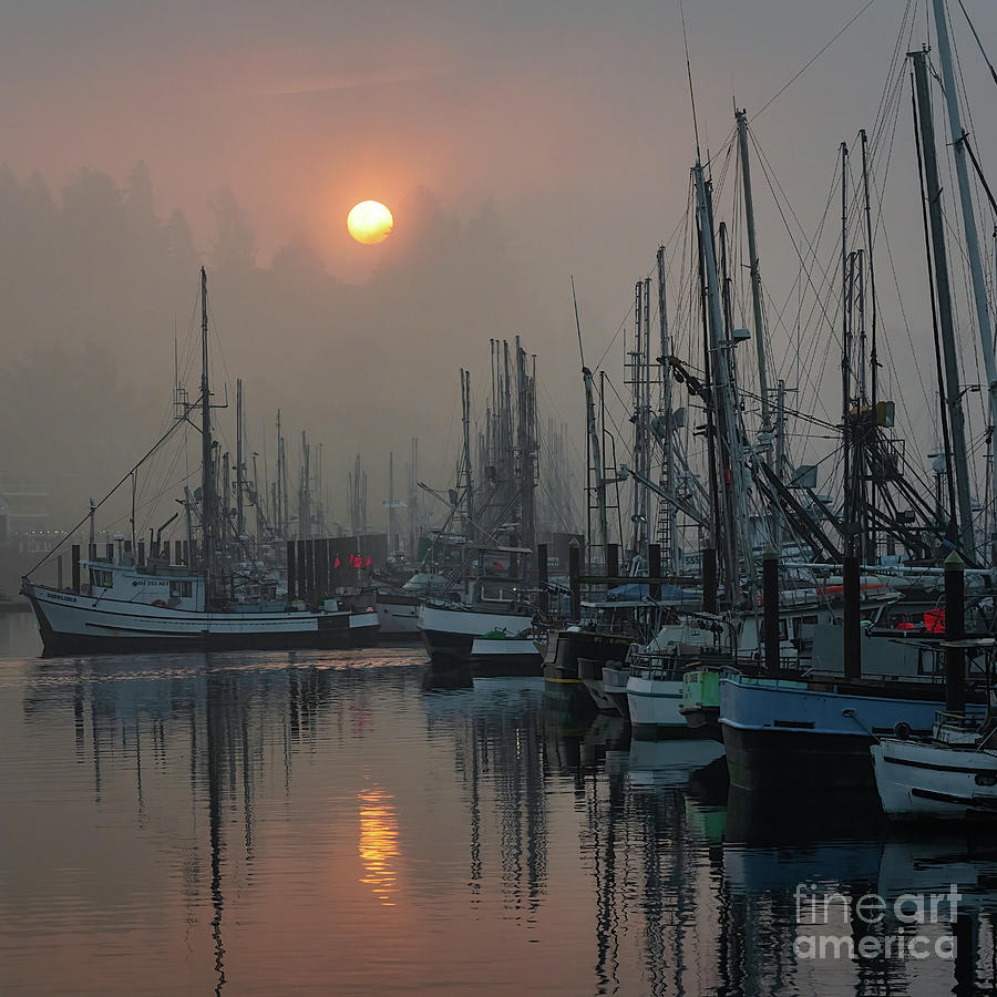 Sunrise over foggy Newport OR fishing harbor Photograph by Izet Kapetanovic