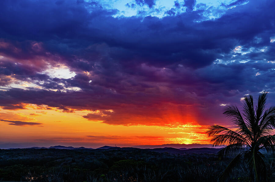 Sunrise Over Jungle Mazatlan Mexico Photograph by Tommy Farnsworth Sunrise Over Jungle Mazatlan Mexico Photograph by Tommy Farnsworth