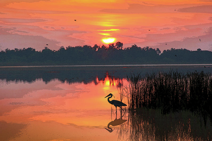 Sunrise Over Lake Smart Photograph by Robert Carter