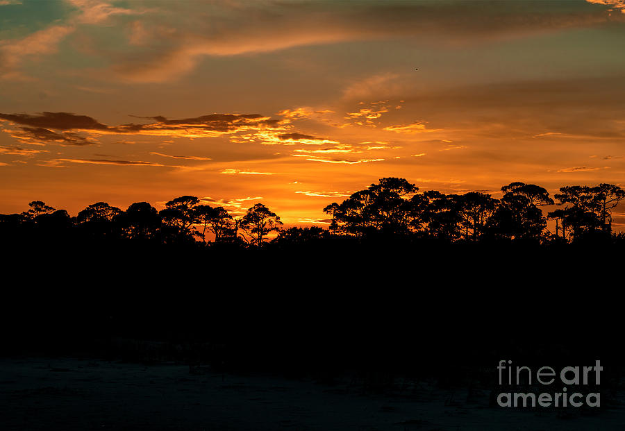 Sunrise over Land Photograph by Sandra Js