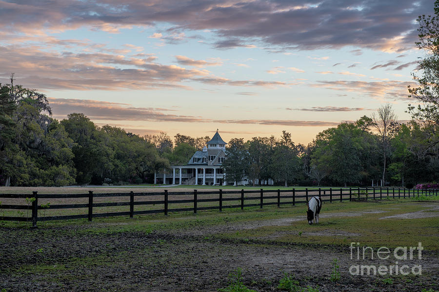 Sunrise over Magnolia Pasture Photograph by Dale Powell
